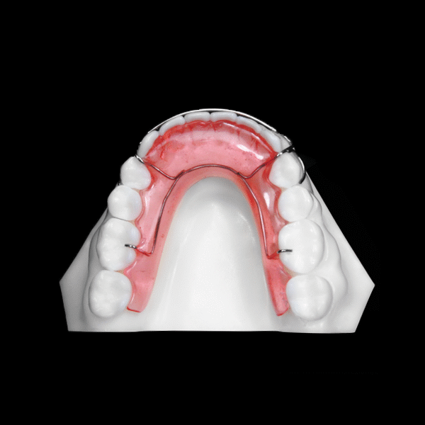 Standard-Hawley-RetainerLower_2